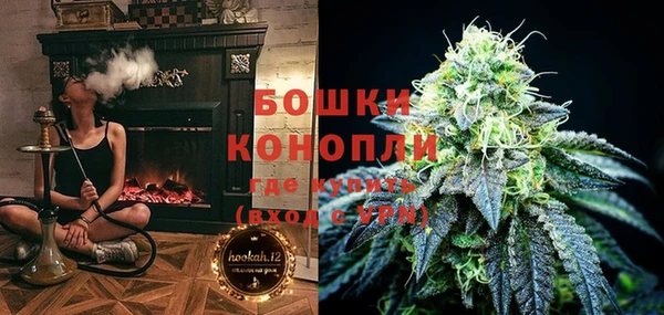 соль ск Гусиноозёрск