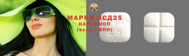 ECSTASY Гусь-Хрустальный