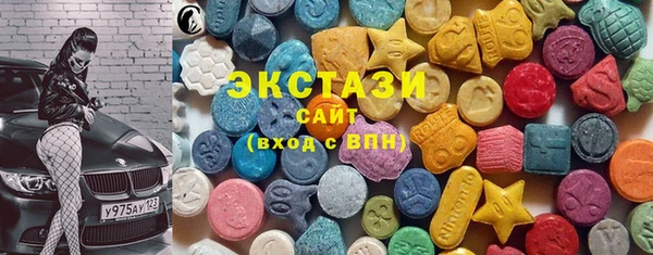 ECSTASY Гусь-Хрустальный