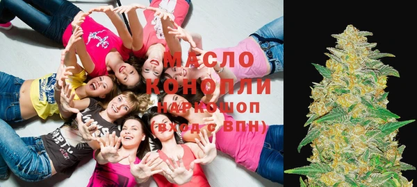 ECSTASY Гусь-Хрустальный
