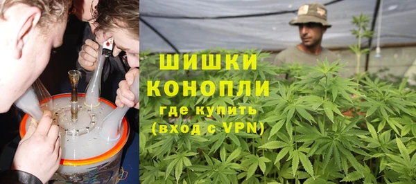 ECSTASY Гусь-Хрустальный