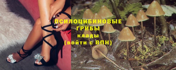 ECSTASY Гусь-Хрустальный