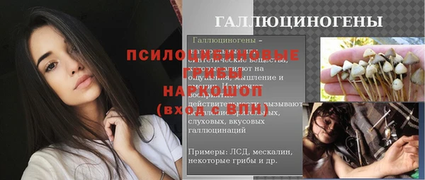 ECSTASY Гусь-Хрустальный